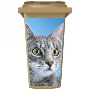 Tabby Grey Cat Wheelie Bin Sticker Panel